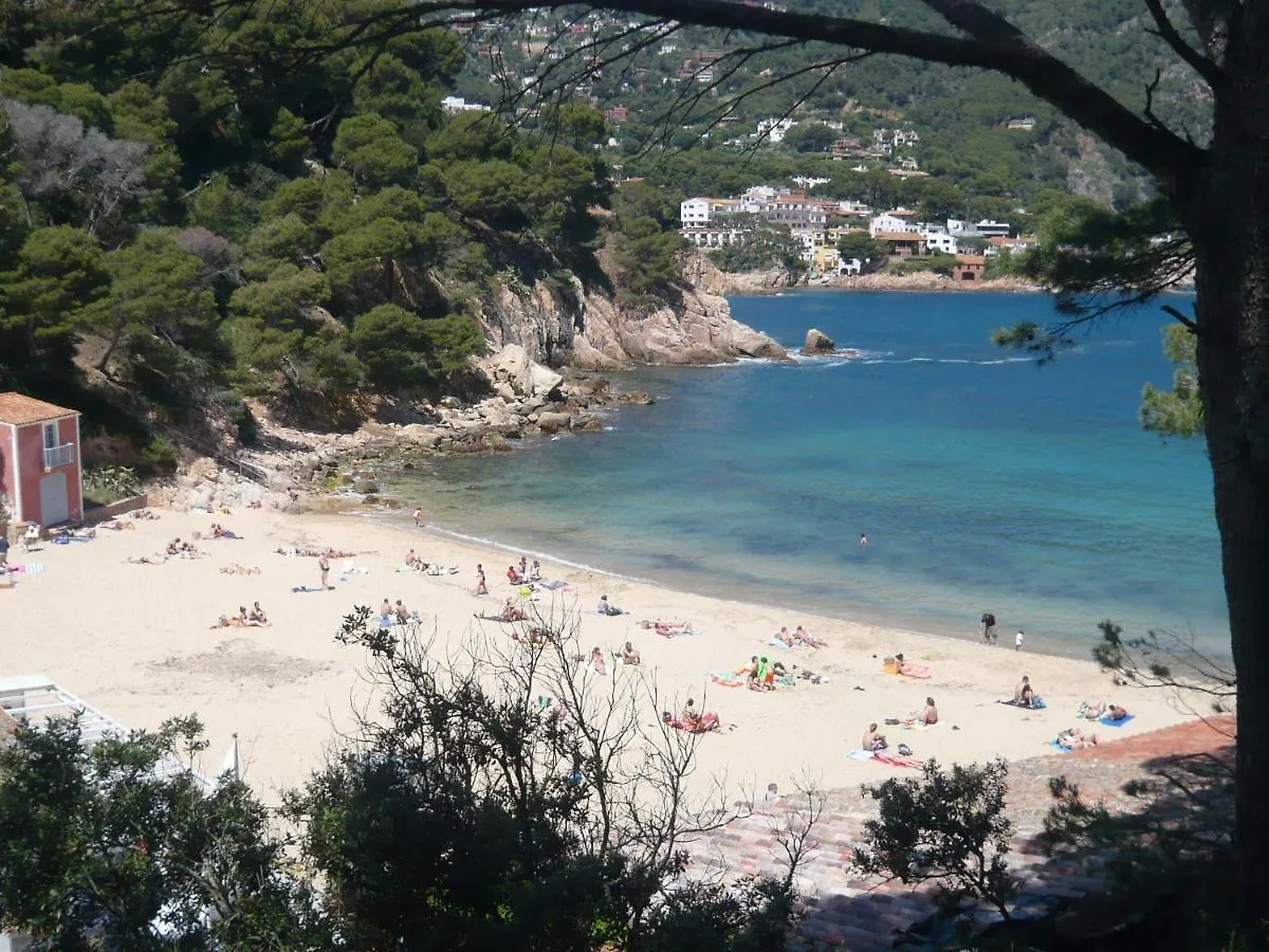 Bravaholidays-320-Condal Blanes Apartment