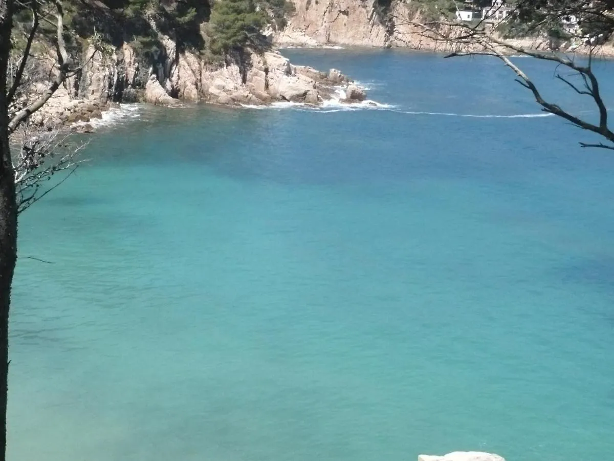 Apartment Bravaholidays-320-Condal Blanes